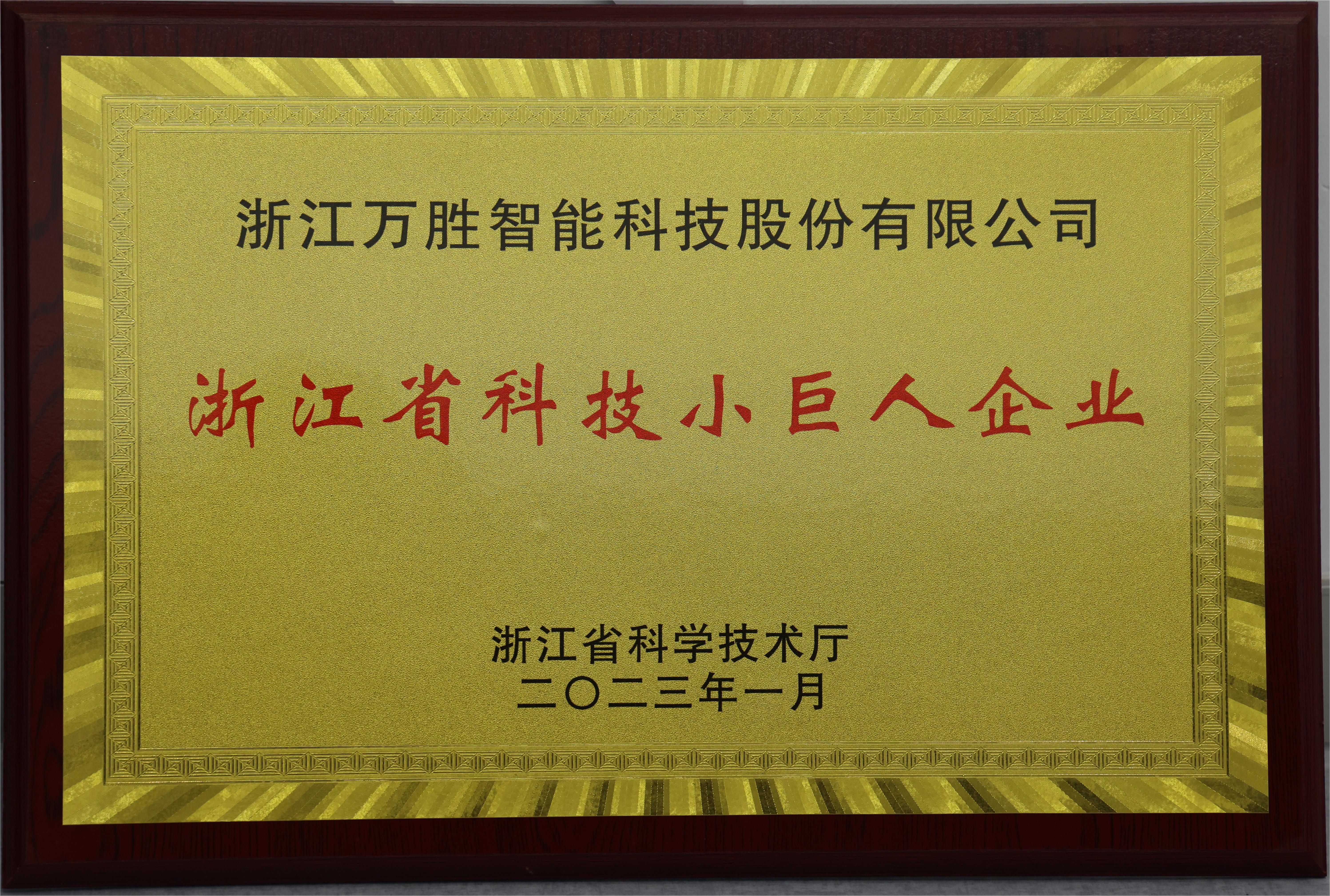 1、浙江省科技小巨人企业.JPG